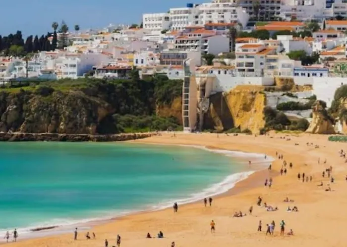 David 홈스테이 알부페이라